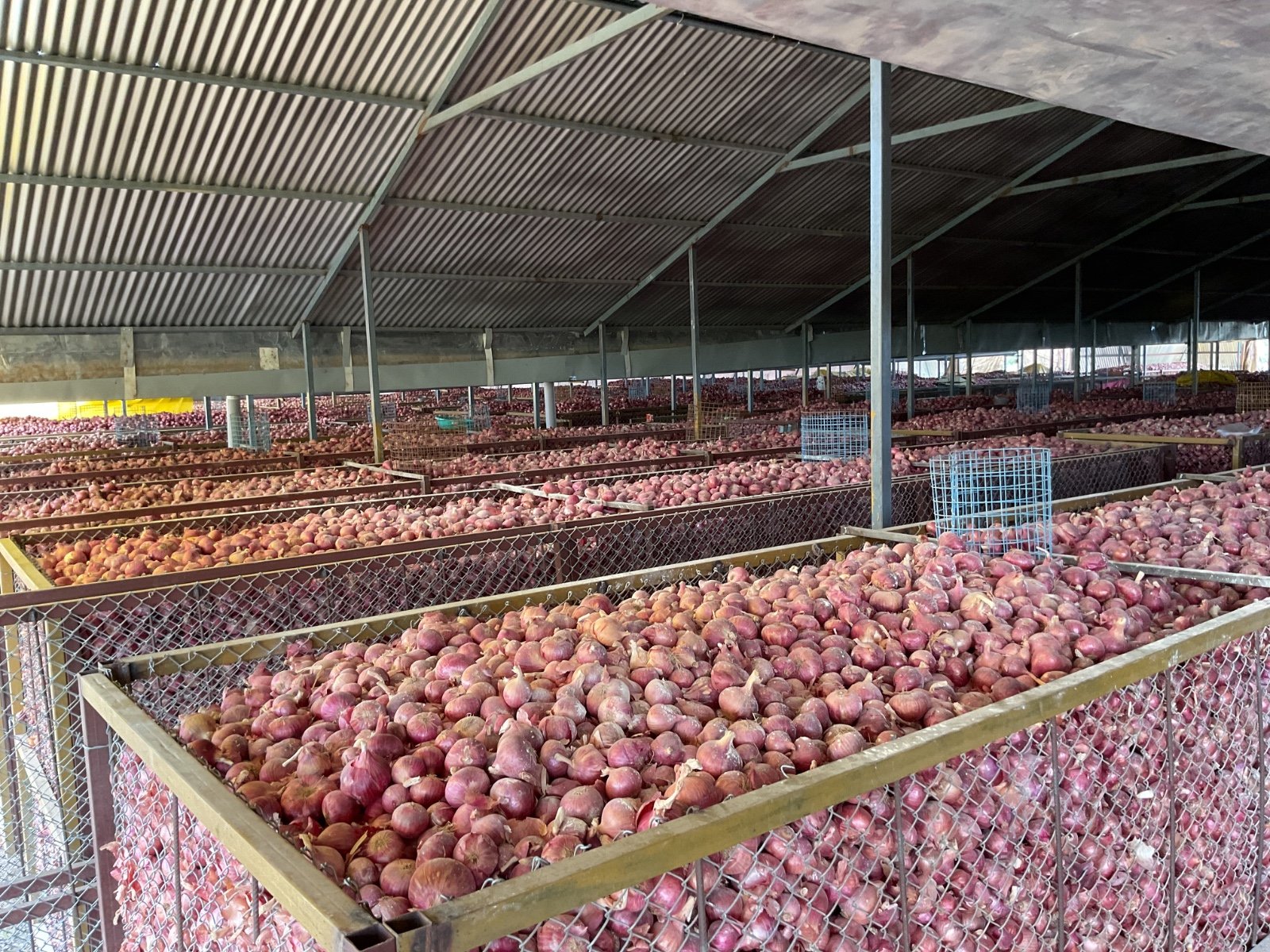 Superior insulation technology at Pure & Perfect Storage minimizes energy costs and ensures consistent temperatures, crucial for cold storage in India.