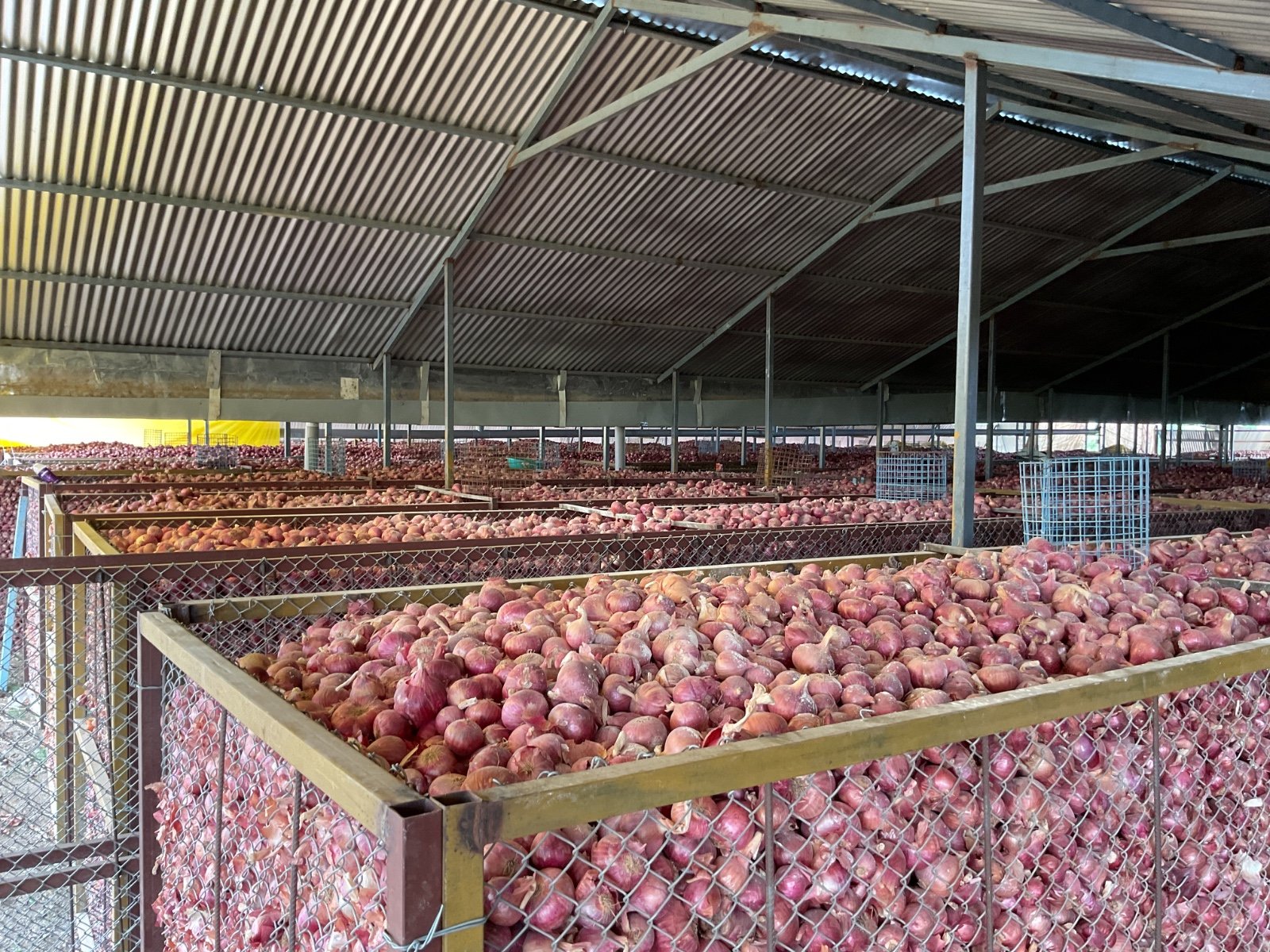 Expert technicians perform regular maintenance on refrigeration systems, ensuring uninterrupted cold storage services and peak performance in India.